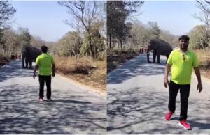 ಬಂಡೀಪುರದಲ್ಲಿ ಕಾಡಾನೆ ಜೊತೆ ಫೋಟೋ ಕ್ಲಿಕ್ಕಿಸಿದ್ದ ವ್ಯಕ್ತಿಗೆ 25 ಸಾವಿರ ರೂ. ದಂಡ