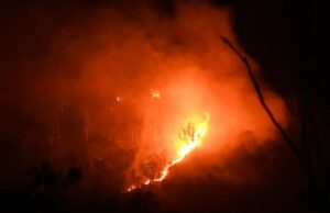 ಚಾಮುಂಡಿ ಬೆಟ್ಟದಲ್ಲಿ ಮಧ್ಯರಾತ್ರಿಯಾದರೂ ಆರದ ಬೆಂಕಿ