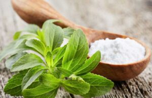 ಸ್ಟೀವಿಯ (ಮಧುವಂತ )