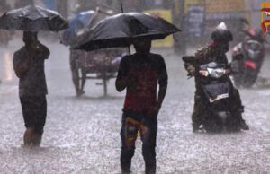 ಬೀದರ್ನಲ್ಲಿ ನಿರಂತರ ಮಳೆ – ಬೆಳೆಗಳು ನೀರುಪಾಲು