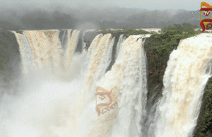 ಲಿಂಗನಮಕ್ಕಿ ಡ್ಯಾಮ್ನಿಂದ ನೀರು ಬಿಡುಗಡೆ – ಜೋಗ್ ಫಾಲ್ಸ್ಗೆ ಜೀವಕಳೆ..!