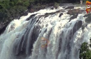ಚುಂಚಿಫಾಲ್ಸ್ ಪ್ರವೇಶಕ್ಕೆ ಪ್ರವಾಸಿಗರ ಬಳಿ ಅಕ್ರಮ ಹಣ ವಸೂಲಿ