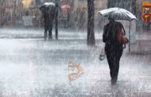 ರಾಜ್ಯದಲ್ಲಿ ಮುಂದುವರೆದ ಮಳೆ – ಕರಾವಳಿ ಜಿಲ್ಲೆಗಳಿಗೆ ರೆಡ್ ಅಲರ್ಟ್ ಘೋಷಣೆ..!