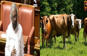 ಹೊರರಾಜ್ಯದ ಜಾನುವಾರಗಳನ್ನು ಕಾಡನಲ್ಲಿ ಮೇಯಿಸಲು ನಿರ್ಬಂಧ – ಈಶ್ವರ್ ಖಂಡ್ರೆ