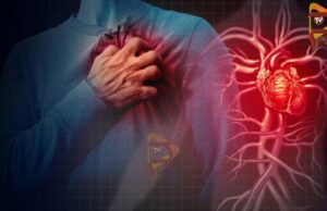 ಒಬ್ಬಂಟಿಯಾಗಿದ್ದಾಗ ಹೃದಯಾಘಾತ ಬಂದರೆ ತಕ್ಷಣ ಏನು ಮಾಡಬೇಕು..?!