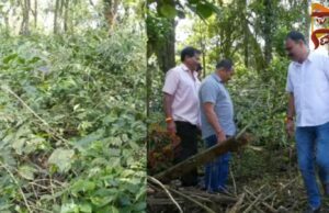 ಕೊಡಗಿನಲ್ಲಿ ನಿರಂತರ ಮಳೆಯಿಂದ ಕಾಫಿ ಬೆಳೆಗಾರರು ಕಂಗಾಲು..!