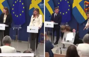 ಪ್ರೆಸ್ ಮೀಟ್ ನಡೆಯುತ್ತಿದ್ದಾಗಲೇ ಕುಸಿದು ಬಿದ್ದ ಸ್ವೀಡನ್ನ ನೂತನ ಆರೋಗ್ಯ ಸಚಿವೆ