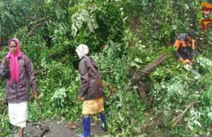 ಬೆಂಗಳೂರು ಸೇರಿ ಹಲವೆಡೆ ಭಾರೀ ಮಳೆ – ಧರೆಗುರುಳಿದ ಬೃಹತ್ ಮರಗಳು