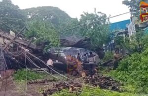 ಧಾರಾಕಾರ ಮಳೆಗೆ ನೆಲಕ್ಕುರುಳಿದ ಬೃಹತ್ ಮರ