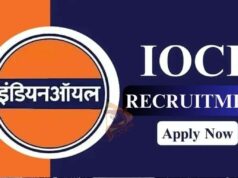 ಇಂಡಿಯನ್ ಆಯಿಲ್ನಲ್ಲಿ 523 ಅಪ್ರೆಂಟಿಸ್ ಹುದ್ದೆಗಳಿಗೆ ನೇಮಕಾತಿ..!