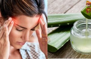 ಅಲೋವೆರಾ ಜೆಲ್ನ್ನು ಹಣೆಗೆ ಹಚ್ಚೋದ್ರಿಂದ ಒತ್ತಡದ ತಲೆನೋವು ನಿವಾರಣೆ