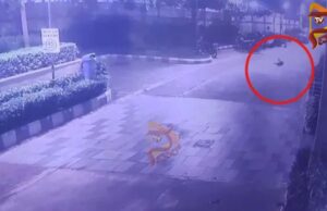 ಅಪಾರ್ಟ್ಮೆಂಟ್ನ 24ನೇ ಮಹಡಿಯಿಂದ ಬಿದ್ದು ವ್ಯಕ್ತಿ ಆತ್ಮಹತ್ಯೆ