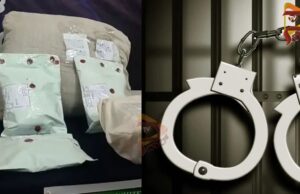 ಮಾದಕ ವಸ್ತು ಸೀಜ್ – ಇಬ್ಬರು ನೈಜೀರಿಯಾ ಪ್ರಜೆಗಳು ಅರೆಸ್ಟ್