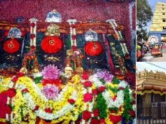 ಶಾಸ್ತ್ರೋಕ್ತವಾಗಿ ತೆರೆದ ಹಾಸನಾಂಬೆ ದೇವಿಯ ಗರ್ಭಗುಡಿ ಬಾಗಿಲು