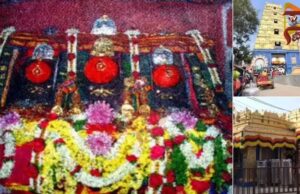 ಶಾಸ್ತ್ರೋಕ್ತವಾಗಿ ತೆರೆದ ಹಾಸನಾಂಬೆ ದೇವಿಯ ಗರ್ಭಗುಡಿ ಬಾಗಿಲು