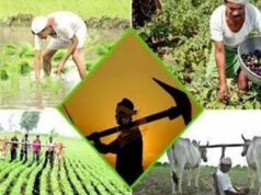 ಹಾವೇರಿ, ಗದಗಕ್ಕೆ ಕೇಂದ್ರ ಸರ್ಕಾರ ಬಂಪರ್ ಕೊಡುಗೆ – ಕೃಷಿ ಯೋಜನೆಗೆ ಜಿಲ್ಲೆಗಳ ಸೇರ್ಪಡೆ..!