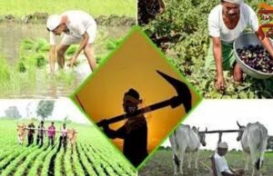 ಹಾವೇರಿ, ಗದಗಕ್ಕೆ ಕೇಂದ್ರ ಸರ್ಕಾರ ಬಂಪರ್ ಕೊಡುಗೆ – ಕೃಷಿ ಯೋಜನೆಗೆ ಜಿಲ್ಲೆಗಳ ಸೇರ್ಪಡೆ..!