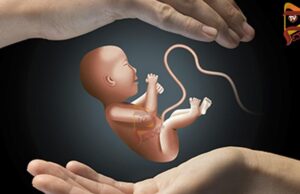 ಹೆಣ್ಣು ಭ್ರೂಣ ಹತ್ಯೆಗೆ ಕಡಿವಾಣ – ಲಿಂಗಾನುಪಾತ ಏರಿಕೆ..!