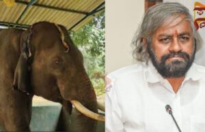 ಸಕ್ರೆಬೈಲ್ ಆನೆಗಳ ಚಿಕಿತ್ಸೆಯಲ್ಲಿ ನಿರ್ಲಕ್ಷ್ಯ – ತನಿಖೆಗೆ ಈಶ್ವರ್ ಖಂಡ್ರೆ ಆದೇಶ