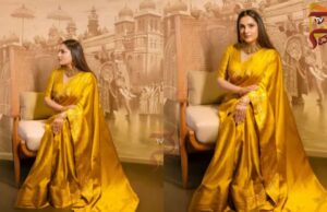 ಮೈಸೂರು ಅರಮನೆ ಪೇಂಟಿಂಗ್ ಮುಂದೆ ದಸರಾ ಗೊಂಬೆಯಂತೆ ಕಂಗೊಳಿಸಿದ ನಟಿ ರಮ್ಯಾ