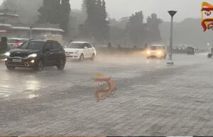 ರಾಜ್ಯದಲ್ಲಿ ಭಾರೀ ಮಳೆ – 25 ಜಿಲ್ಲೆಗಳಲ್ಲಿ ಯೆಲ್ಲೋ ಅಲರ್ಟ್