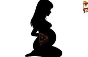 ವಿದ್ಯಾರ್ಥಿನಿ ಗರ್ಭಿಣಿ – ವೈದ್ಯಕೀಯ ಪರೀಕ್ಷೆ ವೇಳೆ ದೃಢ; ಆರೋಪಿ ಅಂದರ್