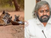 ಹೆಣ್ಣು ಹುಲಿ ಹಾಗೂ 3 ಮರಿಗಳ ರಕ್ಷಣೆಗೆ ಆದೇಶ – ಈಶ್ವರ್ ಖಂಡ್ರೆ