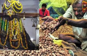 ಬಸವನಗುಡಿ ಕಡಲೆಕಾಯಿ ಪರಿಷೆಗೆ ಕೌಂಟ್ಡೌನ್ – ಕಸ ಬಿಸಾಡಿದ್ರೆ ಬೀಳುತ್ತೆ ಫೈನ್..!