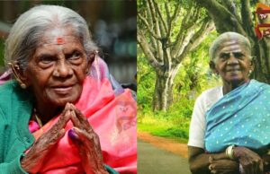 ವೃಕ್ಷಮಾತೆ ಶತಾಯುಷಿ ಸಾಲುಮರದ ತಿಮ್ಮಕ್ಕ ಇನ್ನಿಲ್ಲ..!