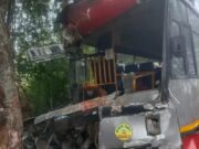 ಮರಕ್ಕೆ ಸಾರಿಗೆ ಬಸ್ ಡಿಕ್ಕಿ – ಹೆಚ್ಚು ಮಂದಿಗೆ ಗಾಯ, ಐವರ ಸ್ಥಿತಿ ಗಂಭೀರ