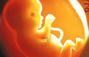 ಮೈಸೂರು, ಮಂಡ್ಯ ಬಳಿಕ ಬೆಂಗಳೂರಿಗೂ ಕಾಲಿಟ್ಟ ಭ್ರೂಣಲಿಂಗ ಪತ್ತೆ..!