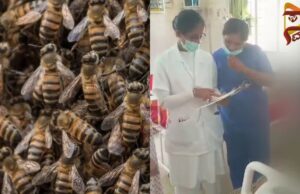 ಹೆಜ್ಜೇನು ದಾಳಿ – 30ಕ್ಕೂ ಹೆಚ್ಚು ವಿದ್ಯಾರ್ಥಿಗಳಿಗೆ ಗಾಯ..!