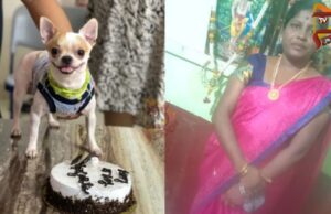 ಲಿಫ್ಟ್ನಲ್ಲಿ ನೆಲಕ್ಕೆ ಬಡಿದು ನಾಯಿಮರಿ ಕೊಂದಿದ್ದ ಕೆಲಸದಾಕೆ ಬಂಧನ