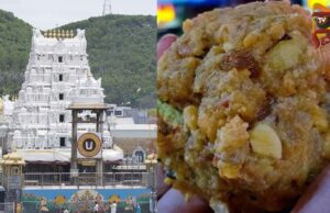 5 ವರ್ಷಗಳಿಂದ ತಿರುಪತಿಗೆ ತುಪ್ಪ ಪೂರೈಸಿದ್ದ ಡೈರಿಯ ಅಸಲಿಯತ್ತು ಬಯಲು