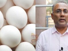 ಮೊಟ್ಟೆಯಲ್ಲಿ ಕ್ಯಾನ್ಸರ್ ಅಂಶ ವದಂತಿ ಸುಳ್ಳು; ಆತಂಕಪಡಬೇಕಿಲ್ಲ, ತಿನ್ನಲು ಸೇಫ್ – ದಿನೇಶ್ ಗುಂಡೂರಾವ್