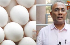 ಮೊಟ್ಟೆಯಲ್ಲಿ ಕ್ಯಾನ್ಸರ್ ಅಂಶ ವದಂತಿ ಸುಳ್ಳು; ಆತಂಕಪಡಬೇಕಿಲ್ಲ, ತಿನ್ನಲು ಸೇಫ್ – ದಿನೇಶ್ ಗುಂಡೂರಾವ್