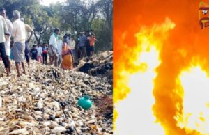 ಆಕಸ್ಮಿಕ ಬೆಂಕಿ ಬಿದ್ದು ಮೆಕ್ಕೆಜೋಳದ ರಾಶಿ ಭಸ್ಮ