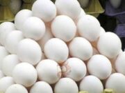 ಕ್ಯಾನ್ಸರ್ ಕಾರಕ ವದಂತಿ – ಖಾಸಗಿ ಲ್ಯಾಬ್ನಲ್ಲಿ ಮೊಟ್ಟೆ ಟೆಸ್ಟ್ಗೆ ರಾಜ್ಯ ಸರ್ಕಾರ ಅದೇಶ