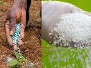 ಬೆಂಗಳೂರಲ್ಲಿ ಜಪ್ತಿಯಾದ 1,90,000 ಕೆಜಿ ಯೂರಿಯಾ ಕೇರಳದ್ದಲ್ಲ, ಕರ್ನಾಟಕದ್ದೇ..!