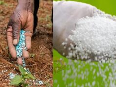 ಬೆಂಗಳೂರಲ್ಲಿ ಜಪ್ತಿಯಾದ 1,90,000 ಕೆಜಿ ಯೂರಿಯಾ ಕೇರಳದ್ದಲ್ಲ, ಕರ್ನಾಟಕದ್ದೇ..!