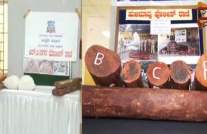ಅಕ್ರಮವಾಗಿ ರಕ್ತಚಂದನ ಸಾಗಿಸ್ತಿದ್ದ ನಾಲ್ವರು ಅರೆಸ್ಟ್ – 1.35 ಕೋಟಿ ಮೌಲ್ಯದ 1,889 ಕೆ.ಜಿ ಜಪ್ತಿ..!