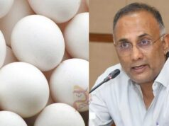 ಮೊಟ್ಟೆಯಲ್ಲಿ ಕ್ಯಾನ್ಸರ್ಕಾರಕ ಅಂಶವಿಲ್ಲ, ಟೆಸ್ಟ್ ರಿಪೋರ್ಟ್ ಸೇಫ್ – ದಿನೇಶ್ ಗುಂಡೂರಾವ್