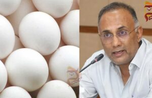 ಮೊಟ್ಟೆಯಲ್ಲಿ ಕ್ಯಾನ್ಸರ್ಕಾರಕ ಅಂಶವಿಲ್ಲ, ಟೆಸ್ಟ್ ರಿಪೋರ್ಟ್ ಸೇಫ್ – ದಿನೇಶ್ ಗುಂಡೂರಾವ್