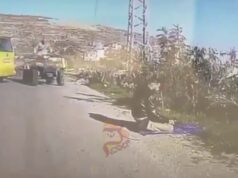 ರಸ್ತೆ ಬದಿ ನಮಾಜ್; ಪ್ಯಾಲೆಸ್ತೀನ್ ವ್ಯಕ್ತಿಗೆ ವಾಹನ ಡಿಕ್ಕಿ ಹೊಡೆಸಿದ ಇಸ್ರೇಲಿ ಸೈನಿಕ..!