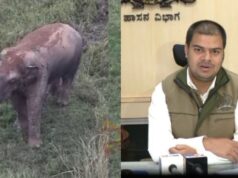 ಭೀಮನ ಹತ್ರ ಹೋಗಿ ವೀಡಿಯೋ, ಫೋಟೋ ತೆಗೆದ್ರೆ ಬೀಳುತ್ತೆ ಕೇಸ್..!