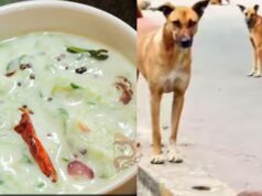 ನಾಯಿ ಕಚ್ಚಿದ್ದ ಎಮ್ಮೆಯ ಹಾಲು ಬಳಸಿ ರಾಯ್ತಾ – ಸೇವಿಸಿದ್ದ ಜನಕ್ಕೆ ರೇಬೀಸ್ ಲಸಿಕೆ