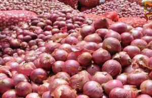 ಶತಕದ ಗಡಿಗೆ ಟೊಮ್ಯಾಟೋ ಬೆಲೆ – ಇತ್ತ ಈರುಳ್ಳಿ ದರ ಕುಸಿತ