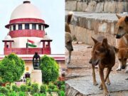 ಬೀದಿ ನಾಯಿಗಳ ಮನಸ್ಸನ್ನು ಯಾರೂ ಓದಲು ಸಾಧ್ಯವಿಲ್ಲ – ಸುಪ್ರೀಂ ಕೋರ್ಟ್