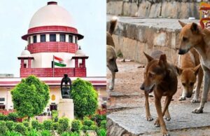 ಬೀದಿ ನಾಯಿಗಳ ಮನಸ್ಸನ್ನು ಯಾರೂ ಓದಲು ಸಾಧ್ಯವಿಲ್ಲ – ಸುಪ್ರೀಂ ಕೋರ್ಟ್