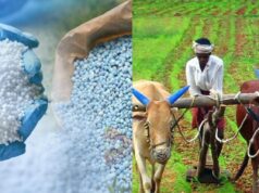 ದೇಶೀಯ ರಸಗೊಬ್ಬರ ಉತ್ಪಾದನೆಯಲ್ಲಿ ಭಾರತ ಹೊಸ ಮೈಲುಗಲ್ಲು – 73% ದೇಶದಲ್ಲೇ ಉತ್ಪಾದನೆ..!